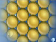 AMBERJET 4200Cl阴树脂.jpg